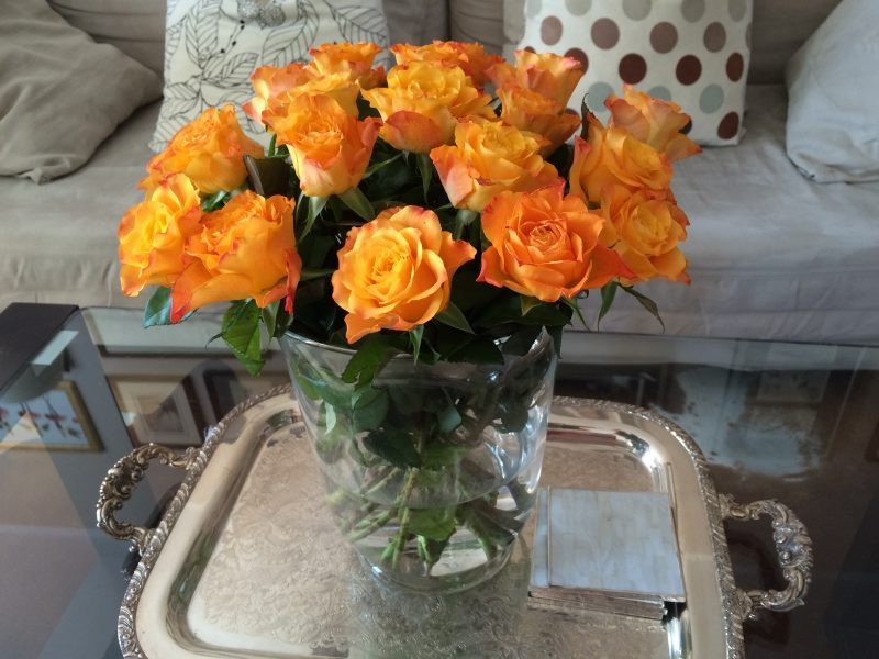 Що зробити, щоб зрізані троянди довше стояли у вазі і чому вони швидко в'януть?